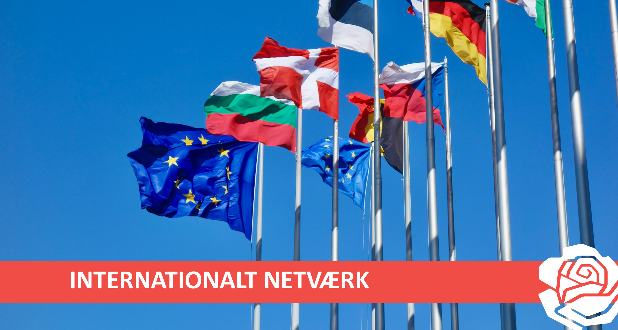 Opstart af Internationalt Netværk