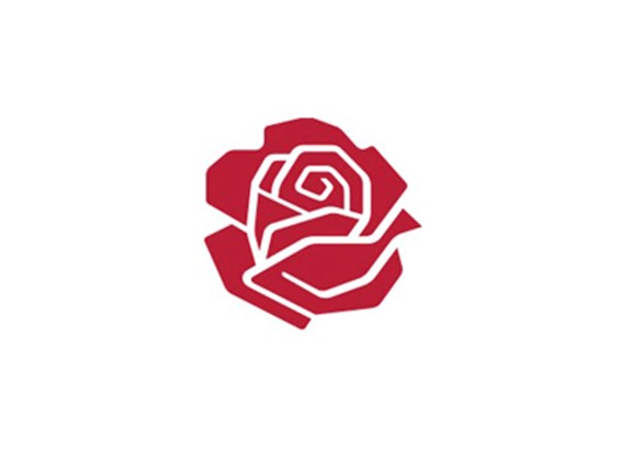 Rose Lille