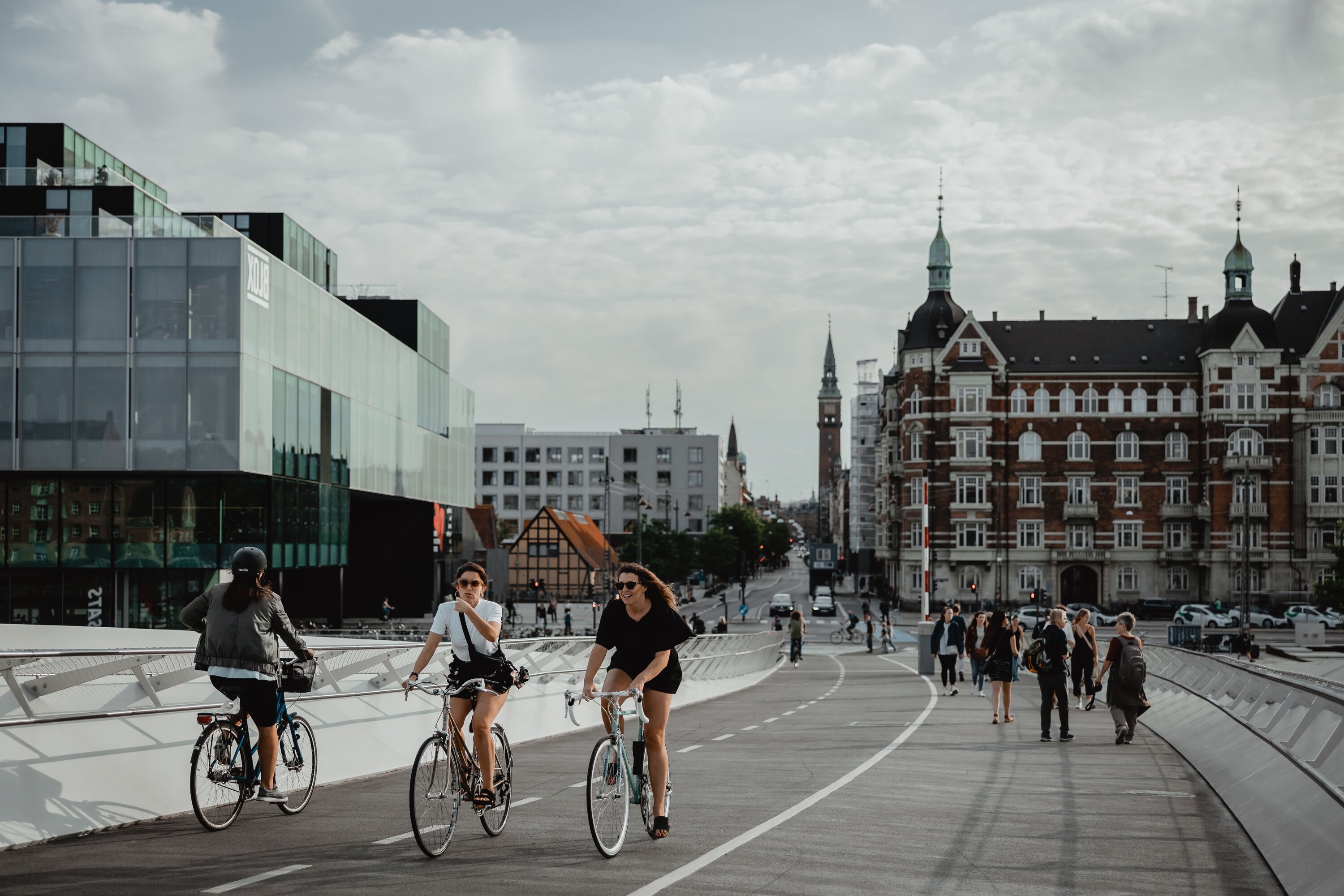 <h1>Borgerrepræsentationsmedlemmer</h1>