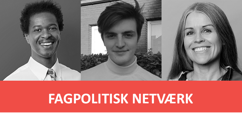 Fagpolitisk Netværk