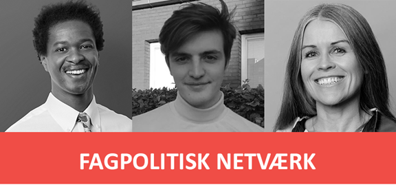 Fagpolitisknetværk Nov