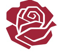 5 indstillede kandidater til posten som fagborgmester og politisk leder